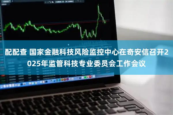 配配查 国家金融科技风险监控中心在奇安信召开2025年监管科技专业委员会工作会议