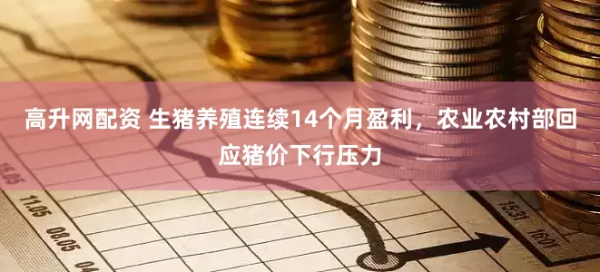 高升网配资 生猪养殖连续14个月盈利，农业农村部回应猪价下行压力