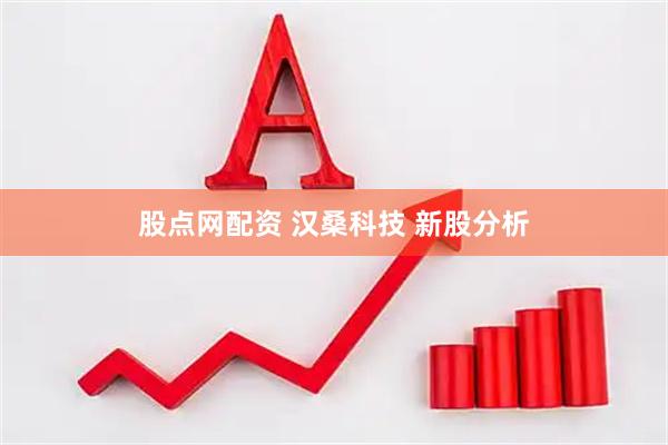 股点网配资 汉桑科技 新股分析