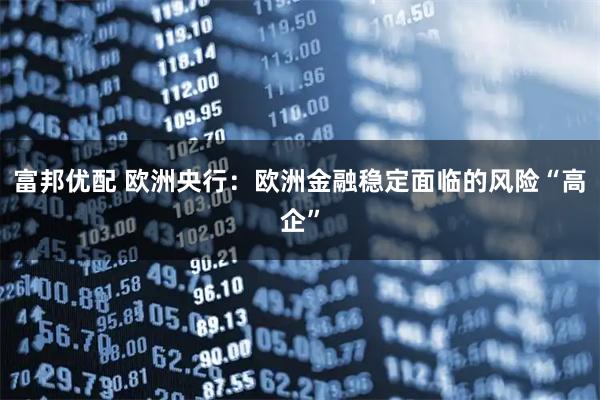 富邦优配 欧洲央行：欧洲金融稳定面临的风险“高企”